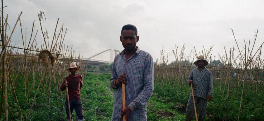 Premi Laus de Plata per al vídeo dels 20 anys de la Biennal de Paisatge